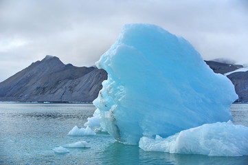 Glaciers of the Svalbard archipelago. 