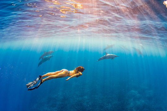 Woman in bikini and fins snorkeling with pod of dolphins in clear blue ocean on sunny day