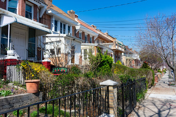 Row of Neighborhood Homes with Green Plants during Spring in Astoria Queens New York