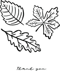 Leaf simple  set. Vector