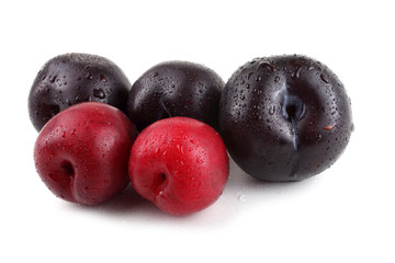 Fresh organic food