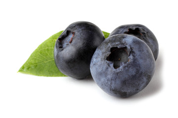 Blueberries and leaf