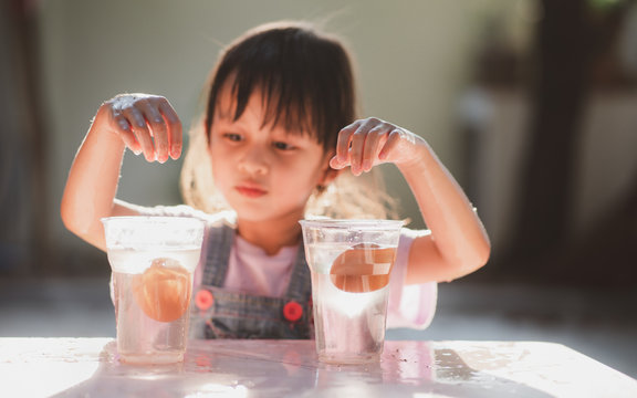 Easy science experiment at home to learn about the density of salt water effect to floating and sinking of the eggs, concept of child education and learning through play activity at home.