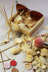 Still Life Photo.Relax.Sea shells.Natural tones.