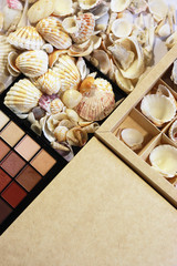 Still Life Photo.Relax.Sea shells.Natural tones.