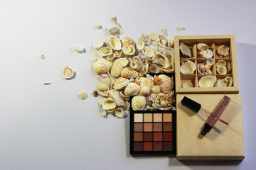 Still Life Photo.Relax.Sea shells.Natural tones.