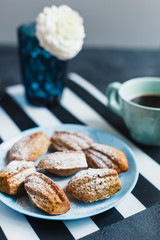 Madeleine cookies with nuts and icing sugar - 344559248