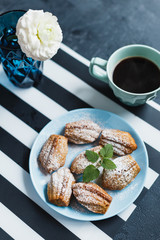 Madeleine cookies with nuts and icing sugar - 344559295