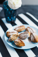 Madeleine cookies with nuts and icing sugar - 344559637