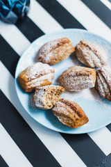 Madeleine cookies with nuts and icing sugar - 344559661