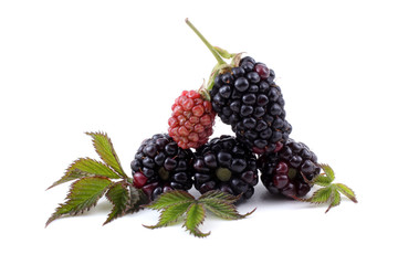 Blackberries and leaves