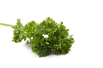 Parsley
