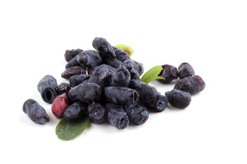 Honeysuckle berries