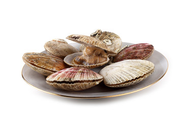 Scallops
