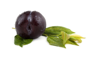 Black plum and leaves