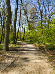 SŁONECZNY DZIEŃ W PARKU. 
PARK IM. JÓZEFA PIŁSUDSKIEGO 
(NA ZDROWIU). ŁÓDŹ, POLSKA  