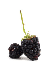 Blackberries
