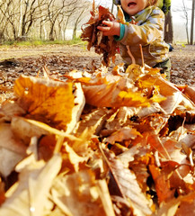 落ち葉で遊ぶ幼児(環境教育・自然保育)