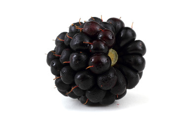 Blackberry
