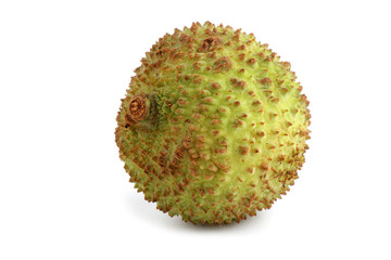 Lychee