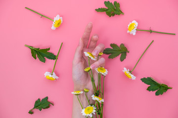 Fototapeta na wymiar Flowers on hands on a pink background