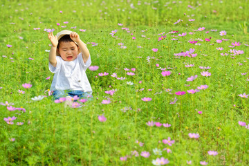 An Asian boy sat in the flowers