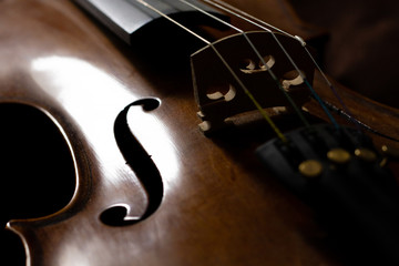 Artful photo of a violin body showing wood grain texture