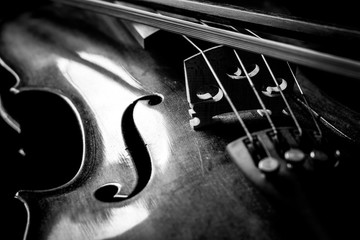 Artful black and white photo of a dusty violin body and bow © Alan
