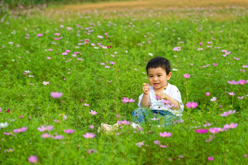 An Asian boy sat in the flowers