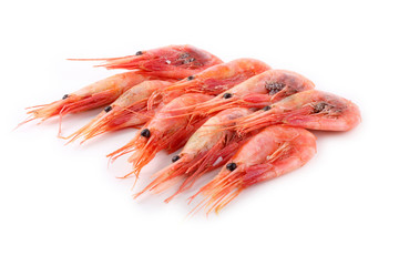 Shrimps