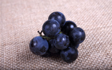 Black wine grape on bagging
