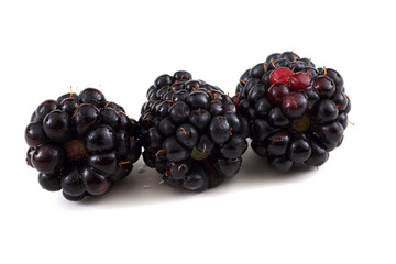 Blackberries