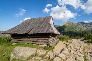 View of the Tatras mountains and colorful flowers in Gasienicowa valley