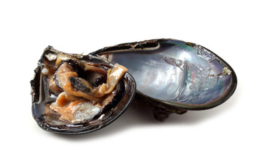Opened mussels