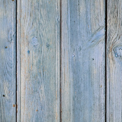Fototapeta premium Old blue painted board with natural patterns