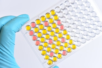 Enzyme-linked immunosorbent assay or ELISA plate, Immunology testing method in medical laboratory