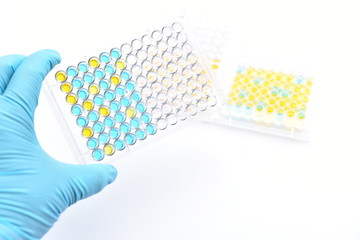 Enzyme-linked immunosorbent assay or ELISA plate, Immunology testing method in medical laboratory