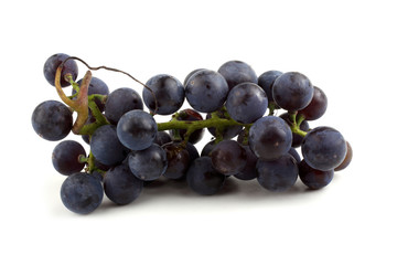 Black wine grape