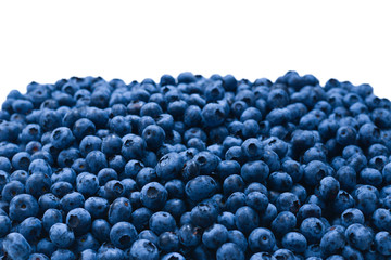 Fresh blueberry background. Texture blueberry berries close up.