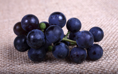 Black wine grape on bagging