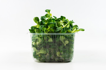 Mash salad on white background.