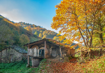 Cabaña en el pueblo