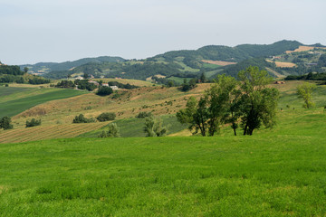 Obraz premium Summer landscape near Bagno di Romagna, in the Appennino