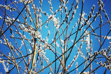 blue sky background