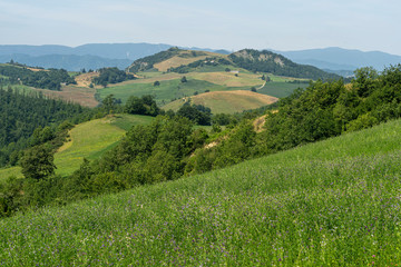 Summer landscape near Bagno di Romagna, in the Appennino