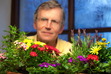 Mature smiling gardener looking at  flowers in plant pots