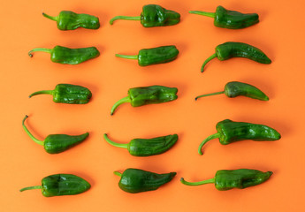 Flat lay Padron peppers pattern on orange background. Top view