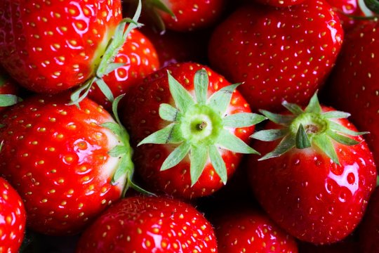 Macro closeup of group isolated fresh ripe red strawberries with green leaves