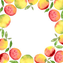 Watercolor fruit berry frame round border card. Apricot, peach fruits. Modern color trendy template for label, banner, card design, poster, cover print