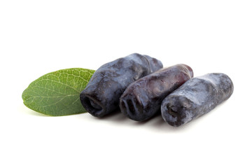 Honeysuckle berries